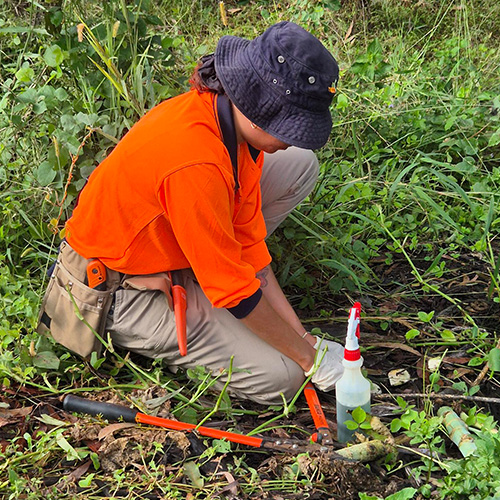 Bushcare Services