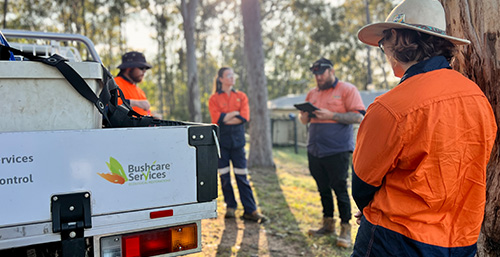 Employment with Bushcare Services