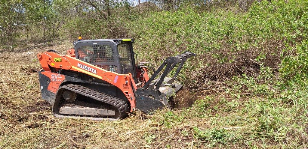 Positrack is an effective solution to clear areas of Lantana